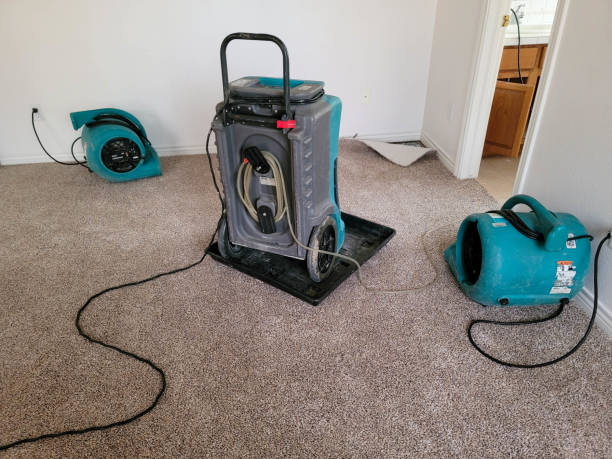 Best Ceiling water damage repair  in Bull Run, VA