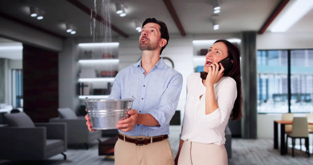 Best Flood restoration services  in Bull Run, VA